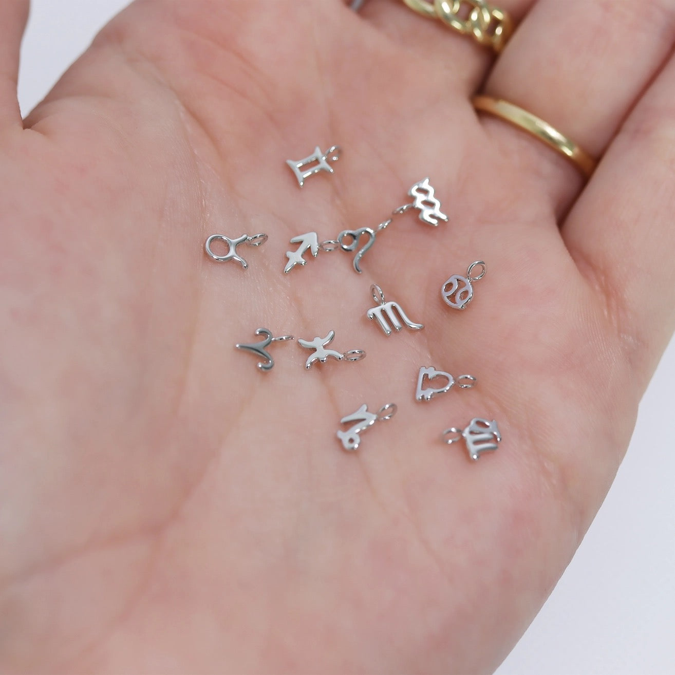 Silver Tiny Zodiac Sign