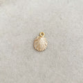 Enamel Shell