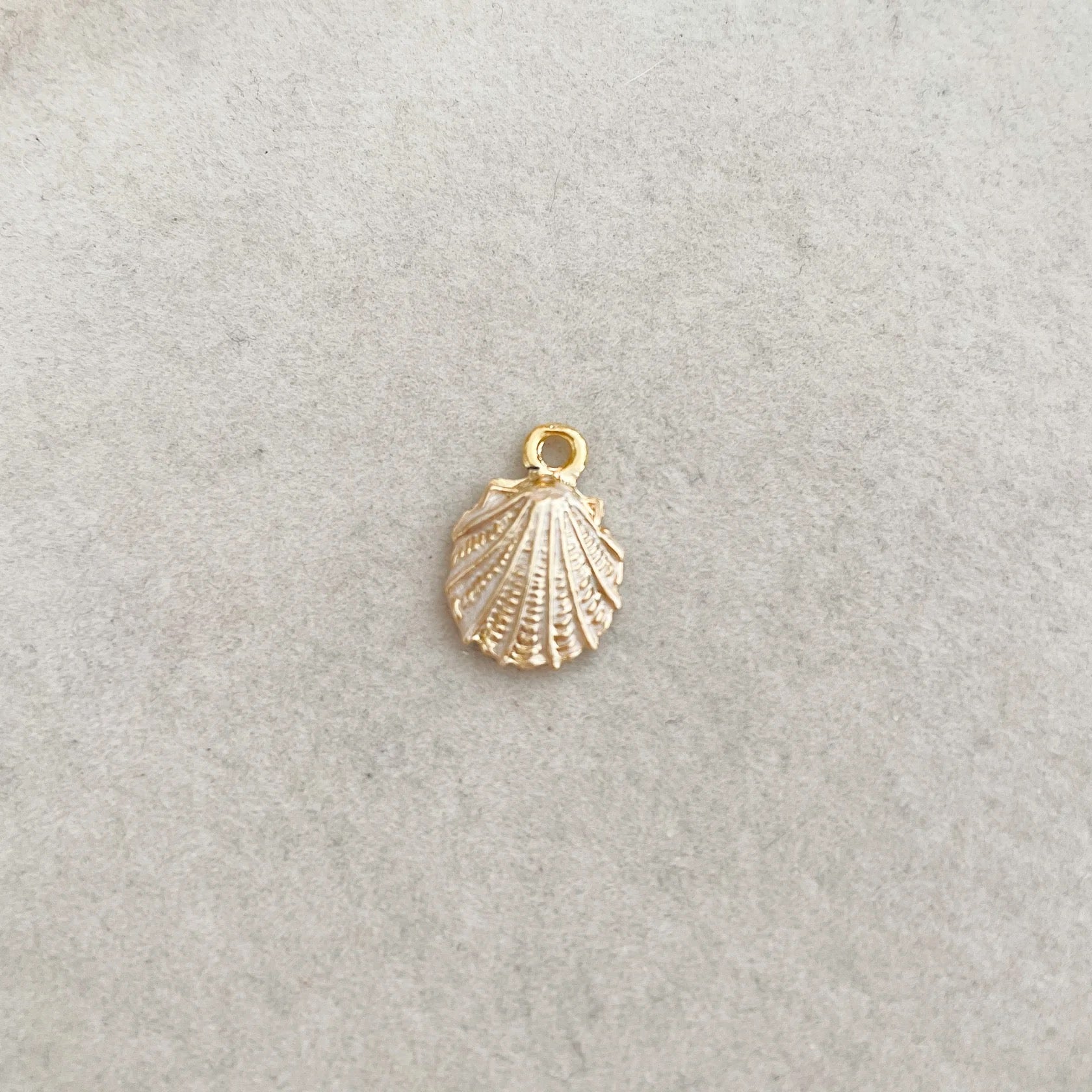 Enamel Shell