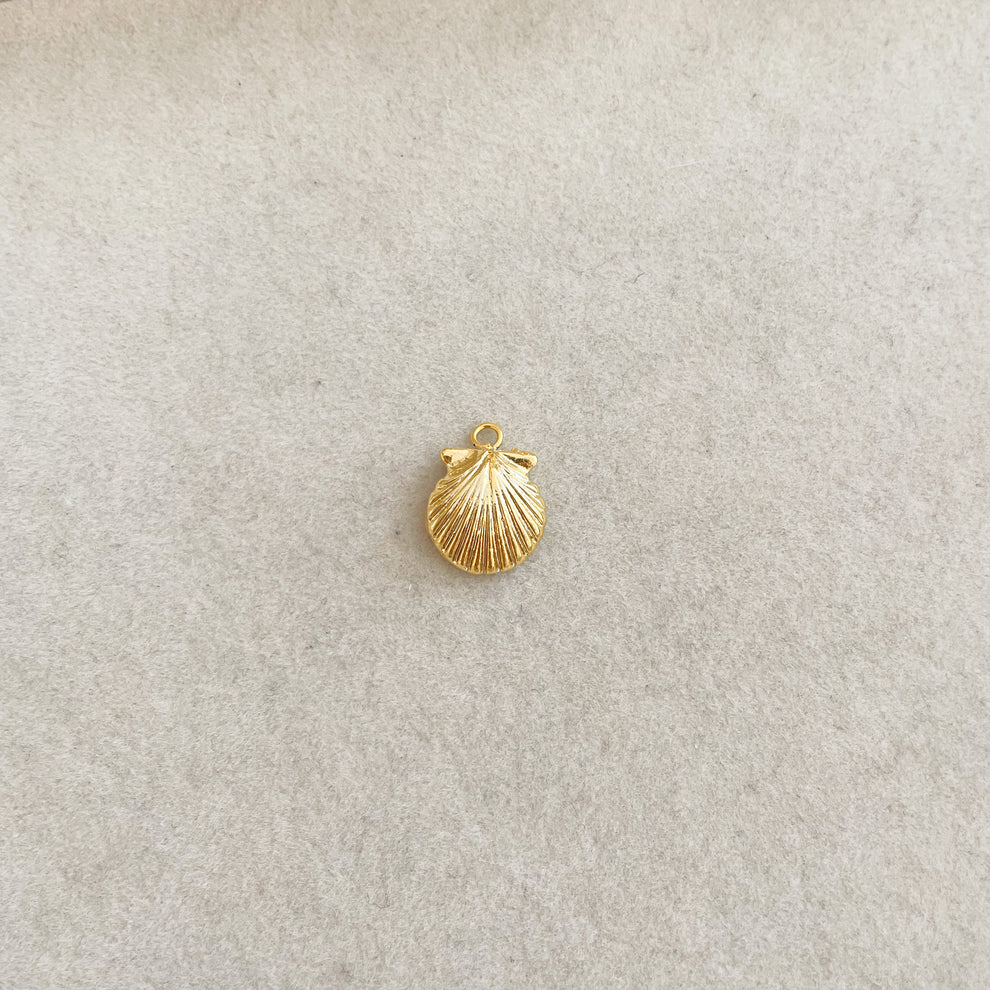 The Seashell